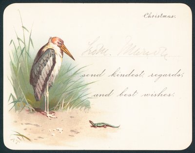 Kranich und Eidechse, Weihnachtskarte von English School