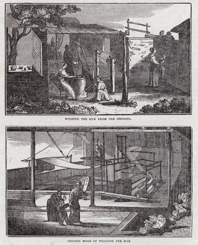 Seidenanbau (Gravur) von English School