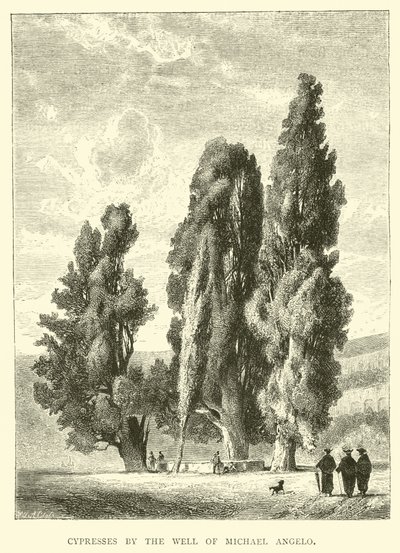 Zypressen am Brunnen von Michelangelo von English School