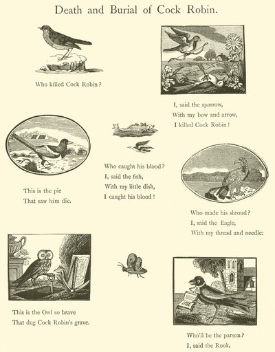 Tod und Beerdigung von Cock Robin von English School