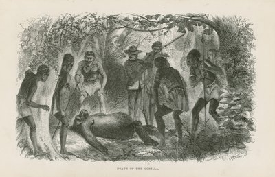 Tod des Gorillas von English School