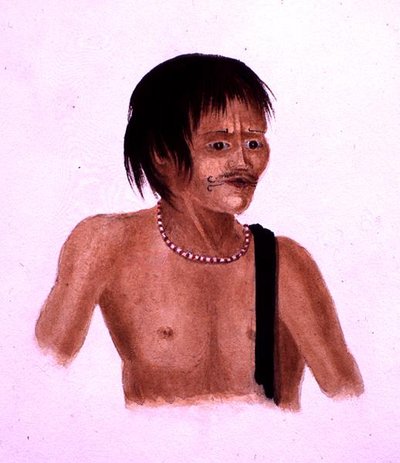 Demerara von English School