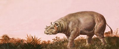 Dinosaurier von English School