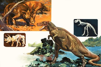 Dinosaurier und Skelette. Stegosaurus und Tyrannosaurus von English School