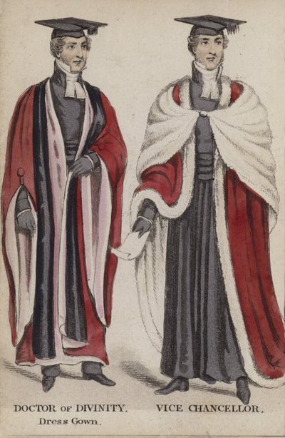 Doktor der Theologie, Festkleid, Vizekanzler von English School