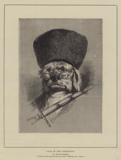 Hunde der Corporation von English School