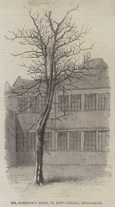 Dr. Johnsons Baum in der New-Street, Shoe-Lane (Stich) von English School