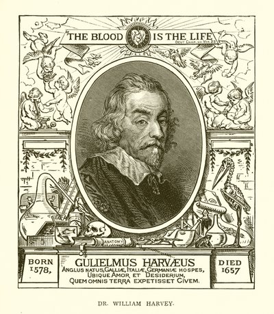 Dr. William Harvey von English School