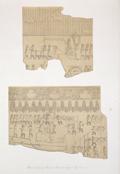 Zeichnung eines Stiers und Wald mit Hirschen und Schweinen, Koujunjik, Tafel 12 aus Ninive und seine Überreste von Austen Henry Layard (1817-94) veröffentlicht 1849 von English School