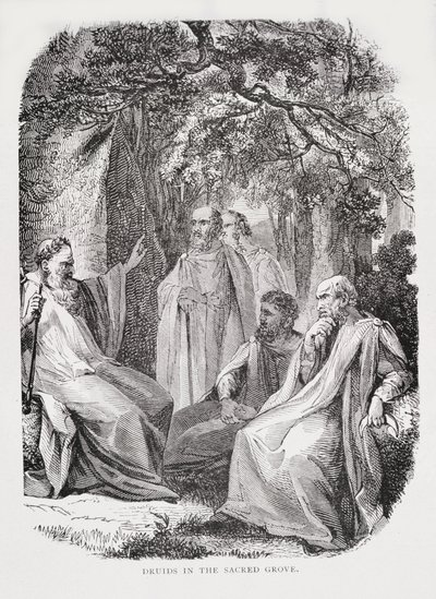 Druiden im heiligen Hain, aus Die Geschichte Frankreichs, von Emile de Bonnechose, veröffentlicht von Ward, Lock und Co, London von English School