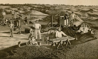 Trockenes Sortieren (Lithografie) von English School