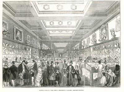 Ostermontag - die Große Zoologische Galerie, British Museum von English School