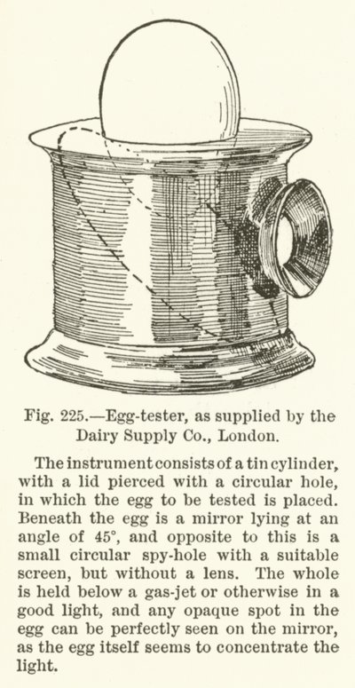 Eiertester, geliefert von der Dairy Supply Company, London von English School