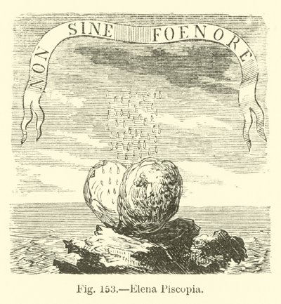 Elena Piscopia von English School