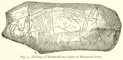 Radierung eines Mammuts auf einem Stück Mammut-Elfenbein von English School