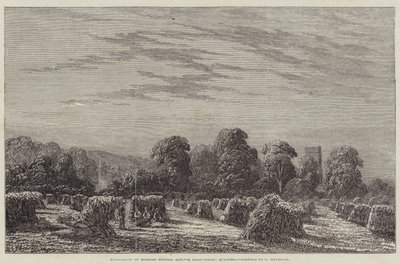 Ausstellung moderner britischer Kunst, ein Kornfeld, Abend von English School