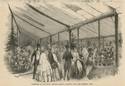 Ausstellung der Royal Botanic Society von English School