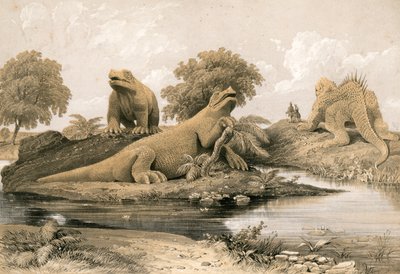 Ausgestorbene Tiere von English School
