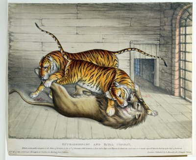 Außergewöhnlicher und tödlicher Kampf, 1830 von English School