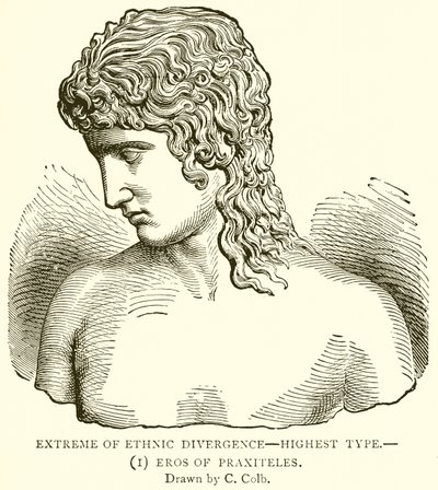 Extrem der ethnischen Divergenz—höchster Typus.—(1) Eros von Praxiteles von English School