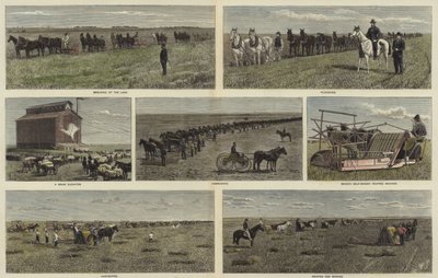 Landwirtschaft auf den Ebenen Nordamerikas von English School