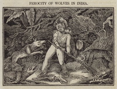 Wildheit der Wölfe in Indien von English School