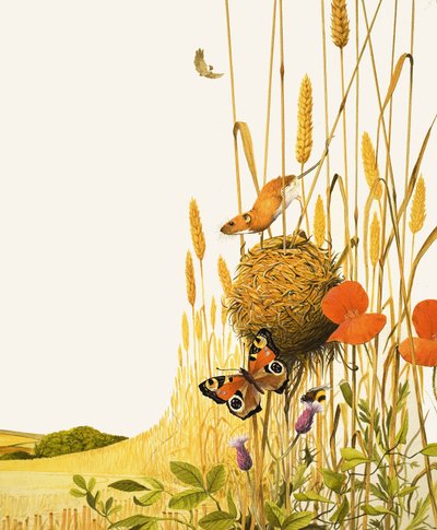 Feldmaus und Schmetterling von English School