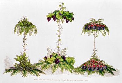 Erster Preis für Tischdekoration, Royal Horticultural Society, 1851 von English School