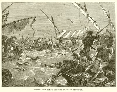 Thunfischfang vor der Küste der Provence von English School