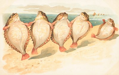 Fünf Plattfische tanzen am Strand von English School