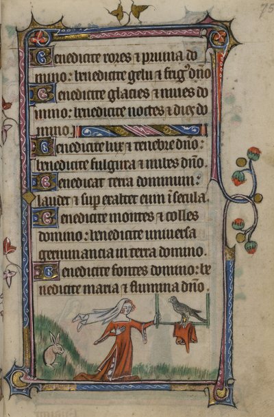 Illustration aus den 