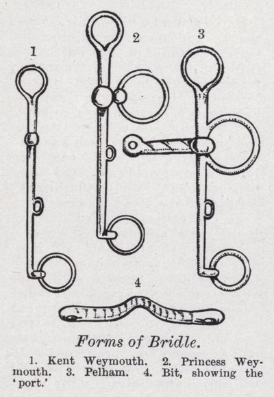 Formen des Zaumzeugs von English School