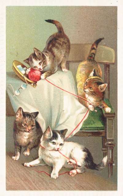 Vier Katzen spielen mit einem Wollknäuel von English School