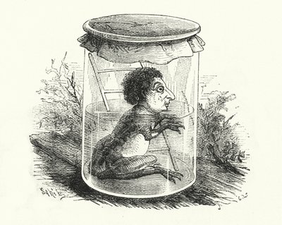 Frosch in einem Glas von English School