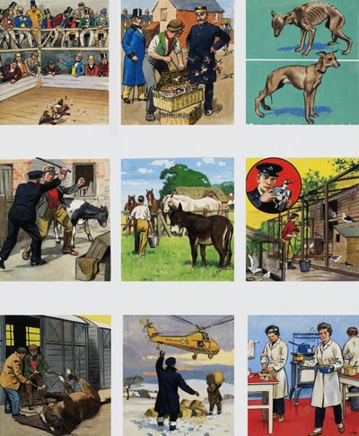 Von damals bis heute: Die Geschichte der RSPCA von English School
