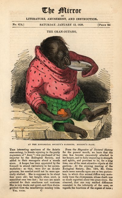 Titelseite des The Mirror vom 13. Januar 1838 zur Feier der Ankunft eines Orang-Utans in den Gärten der Zoologischen Gesellschaft im Regent