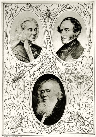 Frontispiz aus The Hope Reports, Bd. II, 1897-1900, herausgegeben von Edward B. Poulton, Oxford, 1901 von English School