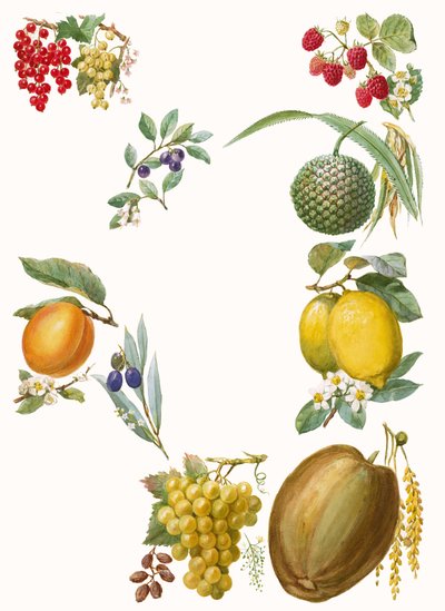Früchte von English School