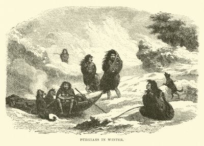 Feuerländer im Winter von English School