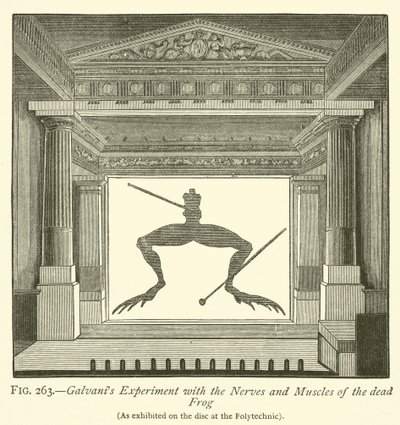 Galvanis Experiment mit den Nerven und Muskeln des toten Frosches (Stich) von English School
