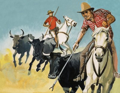 Gardians der Camargue von English School