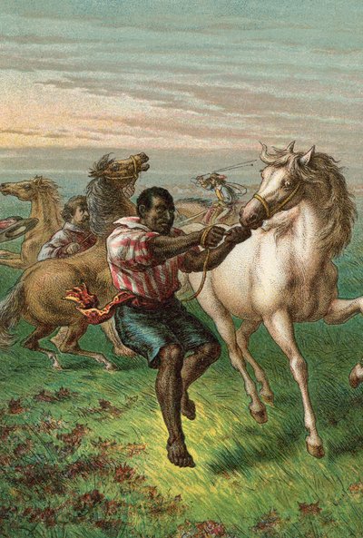 Garibaldis Truppen brechen wilde Pferde von English School