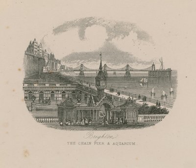 Allgemeine Ansicht der Hängebrücke und des Aquariums an der Küste von Brighton von English School