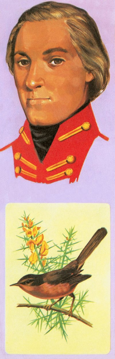 George Montagu von English School