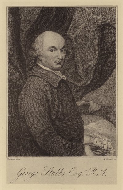 George Stubbs von English School
