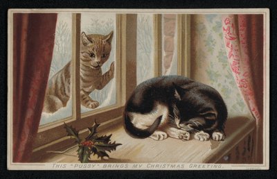Roter Kater schaut durch ein Fenster auf einen schlafenden anderen Kater, Weihnachtsgrußkarte von English School