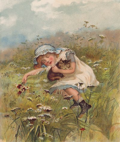 Mädchen und eine Katze schlafen auf einem Feld von English School