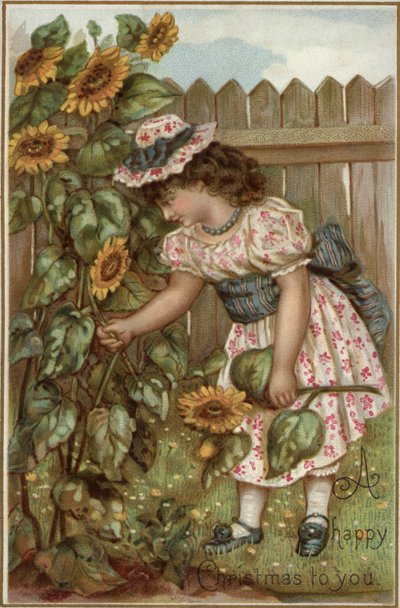 Mädchen pflückt Sonnenblumen im Garten von English School