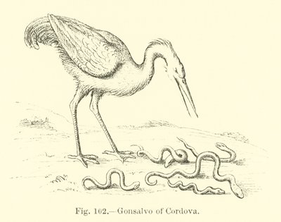Gonsalvo von Cordova von English School