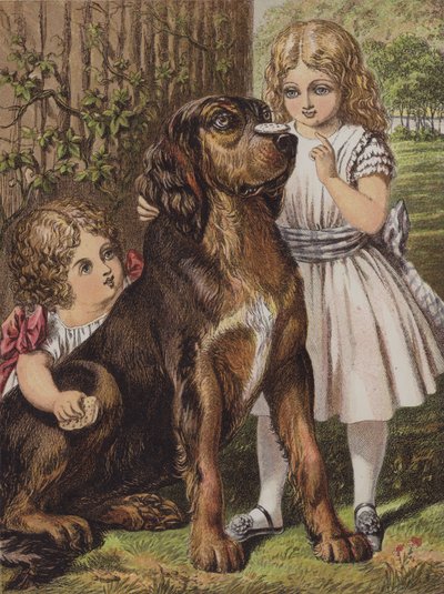 Guter Hund Dash von English School